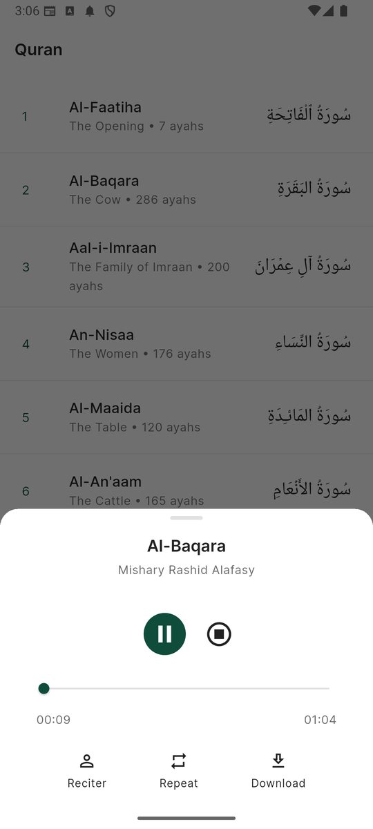 Audio player screen